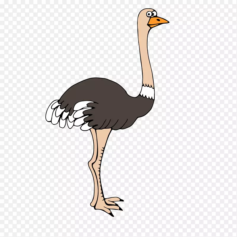 卡通鸵鸟动物设计