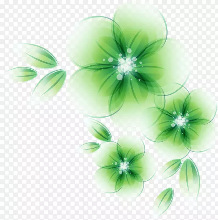 绿色百合花