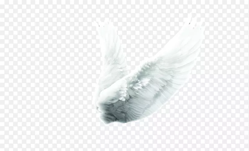 一对展翅飞翔的天使之翼