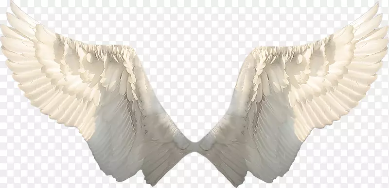 一对白色的翅膀