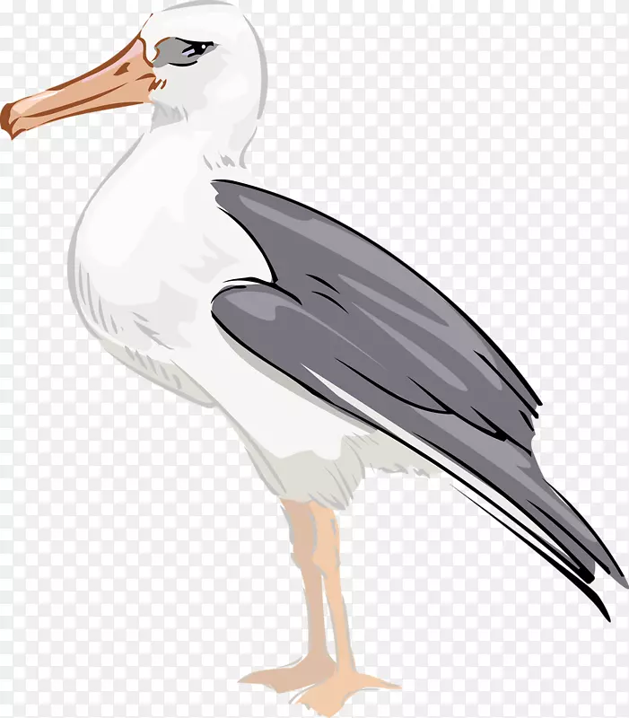 手绘海鸥