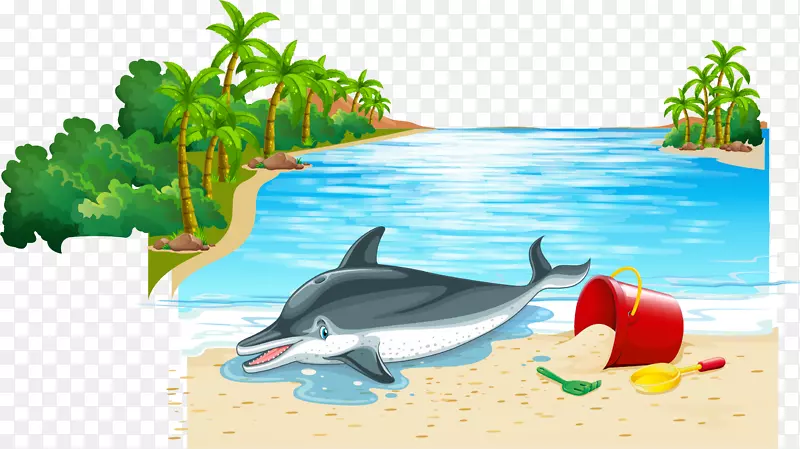 沙滩上的海豚