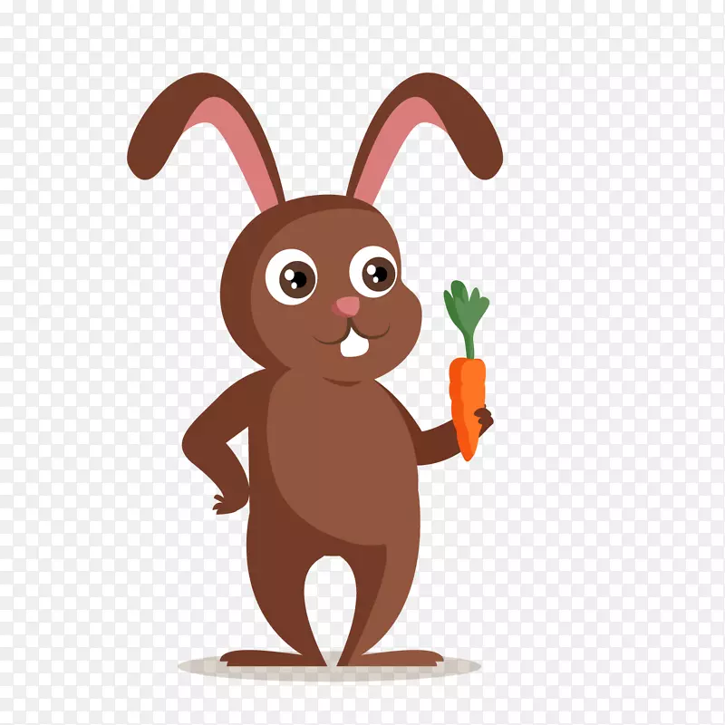 拿着胡萝卜的兔子