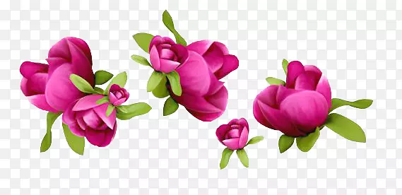 紫红色花