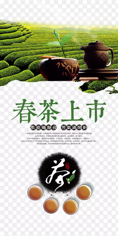 新茶上市 春茶海报图片