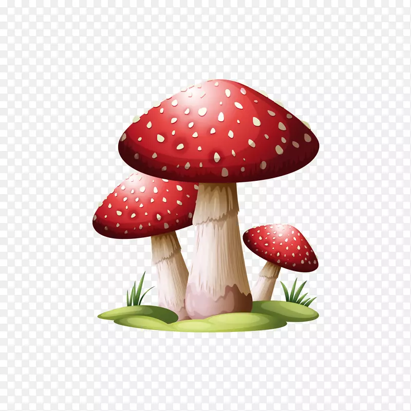 几棵红白色的蘑菇