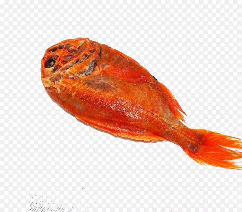 新西兰长寿鱼免抠图