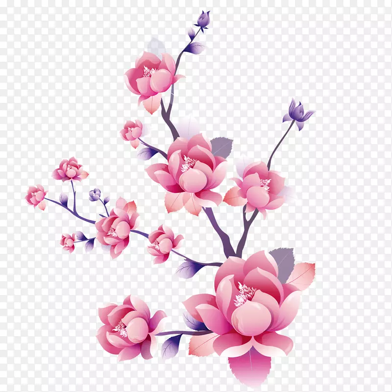 花枝PNG图片素材下载_图片编号7395838-PNG素材网
