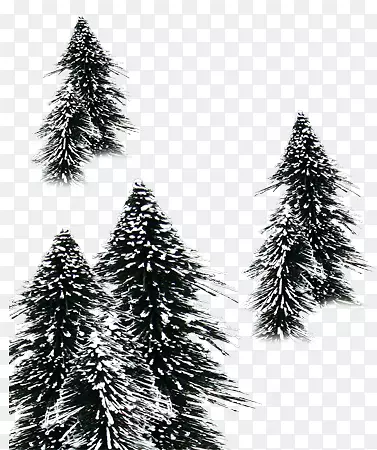 寒雪中的松树
