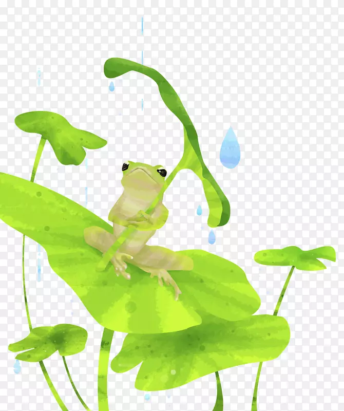 手绘拿着荷叶躲雨的青蛙