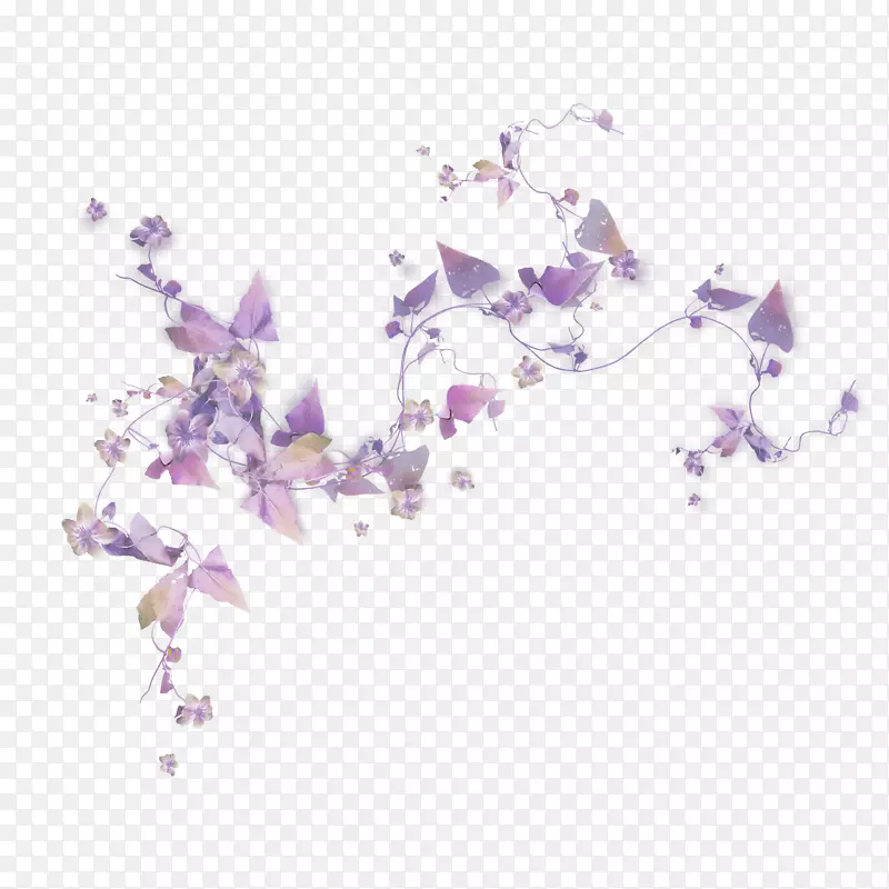 紫色装饰花卉