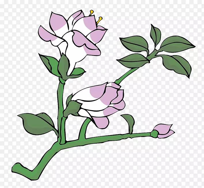 开紫花的数枝