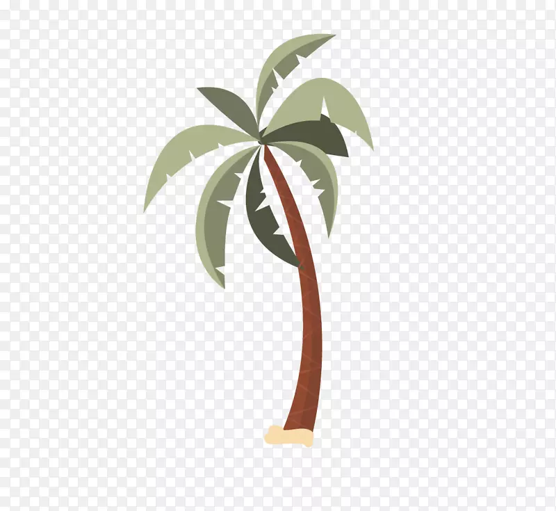 高大的椰子树.