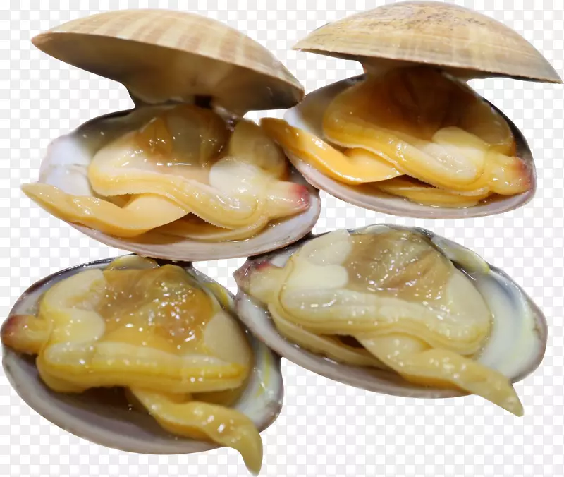 黄蚬子 牡蛎