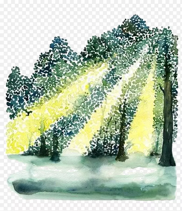 水彩绘画一个神奇的森林小径, 穿过一棵树林, 阳光穿过树枝, 飞翔