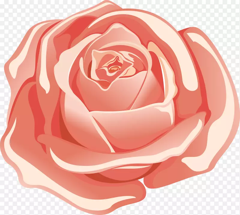 矢量粉色玫瑰