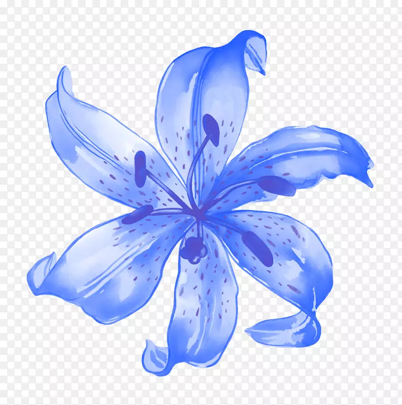 手绘蓝色花朵装饰图片