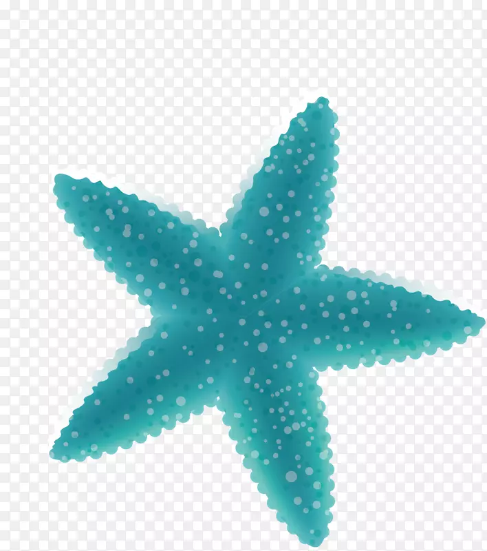 胖胖的海星