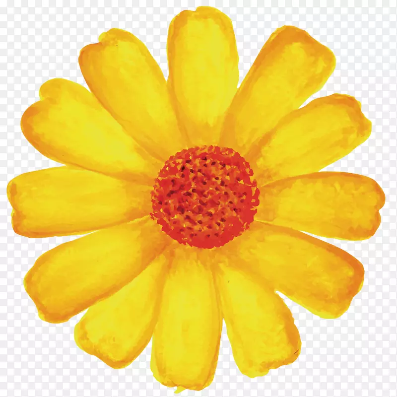 矢量黄色花朵素材