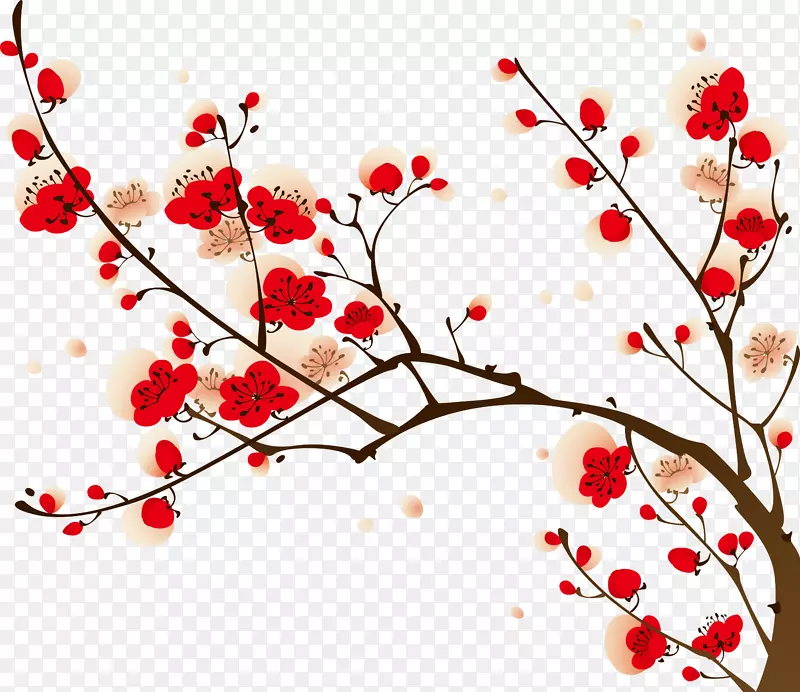 红色和白色的梅花