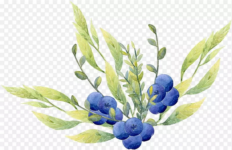 彩绘蓝莓叶子