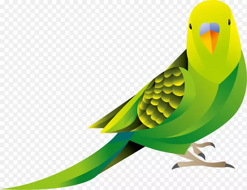 绿色羽毛卡通风格鹦鹉