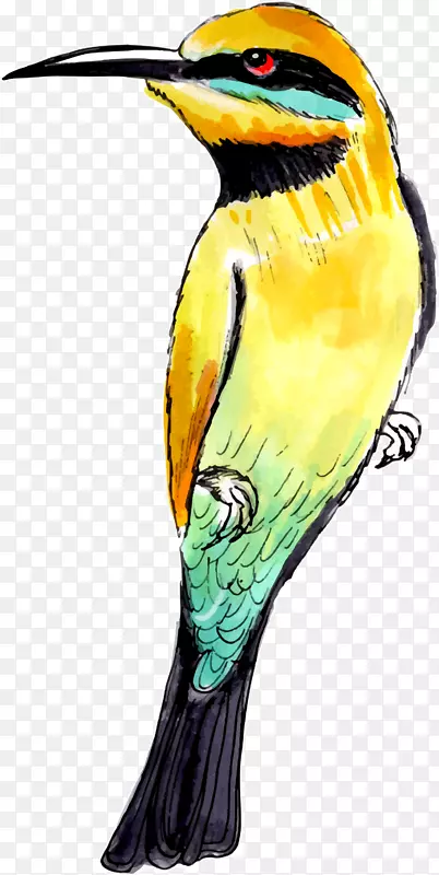 手绘美丽黄色小鸟