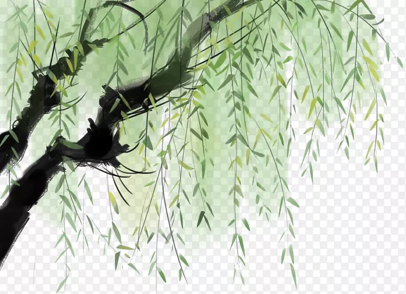 手绘杨柳枝插画素材PNG图片素材下载_图片编号7405846-PNG素材网