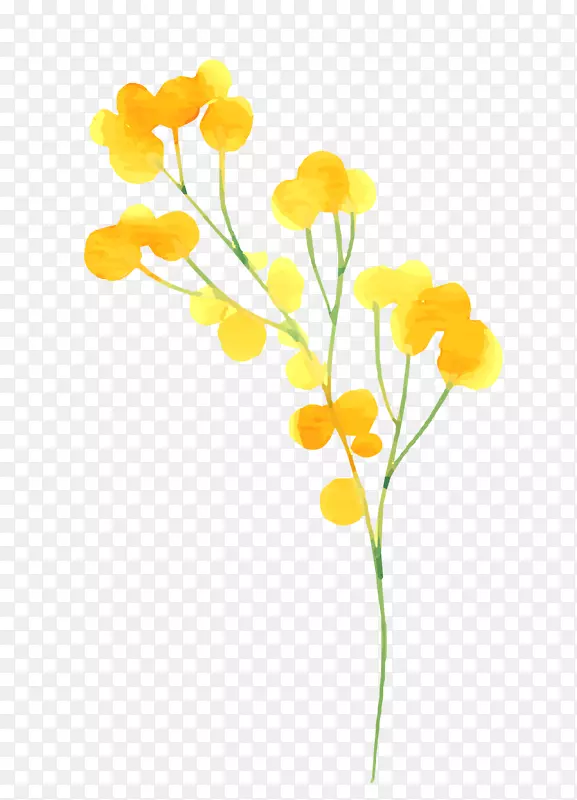 水彩绘黄色花朵树枝