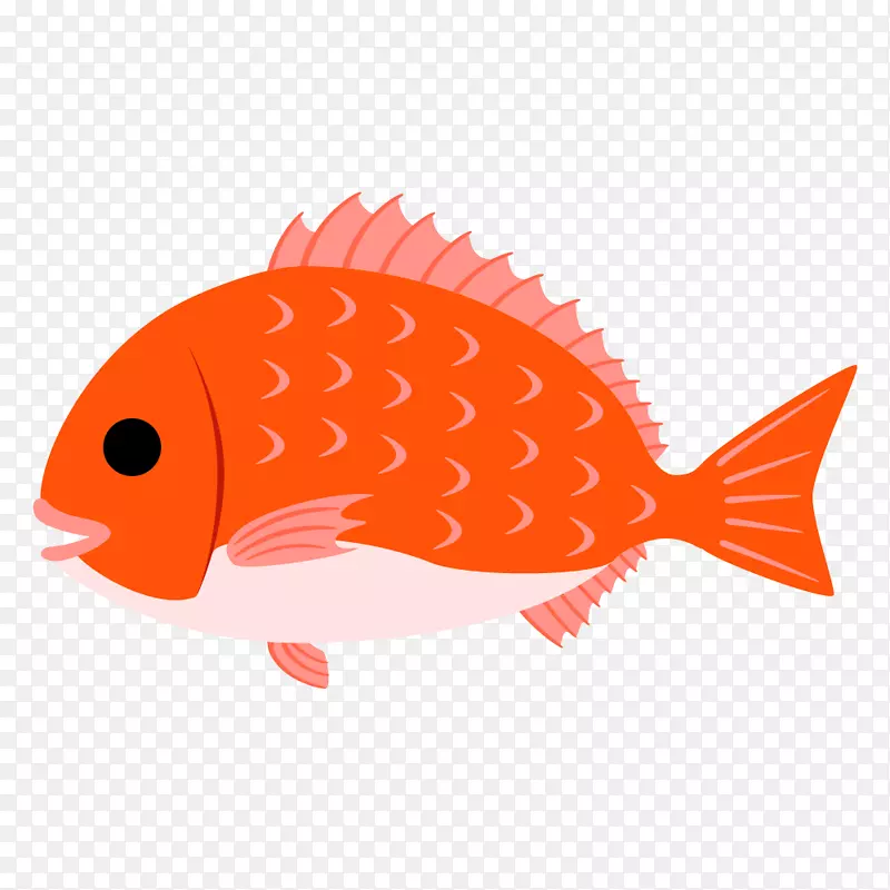 橘色海鱼手绘简图