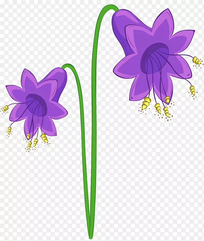 紫色铃兰花