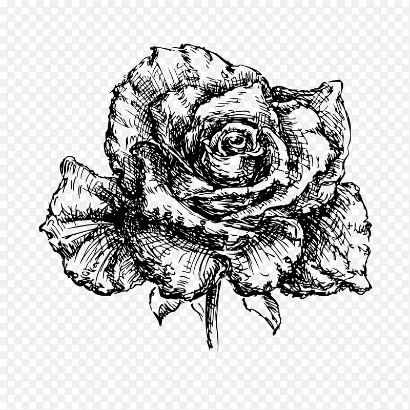 黑白玫瑰花线条花