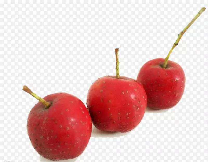 三个红色野生山楂果儿