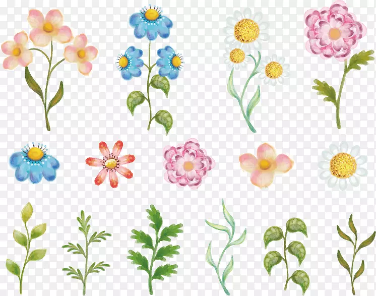 水彩绘花卉和叶子矢量素材