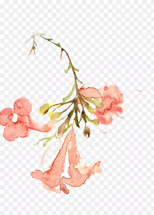 粉色铃兰花