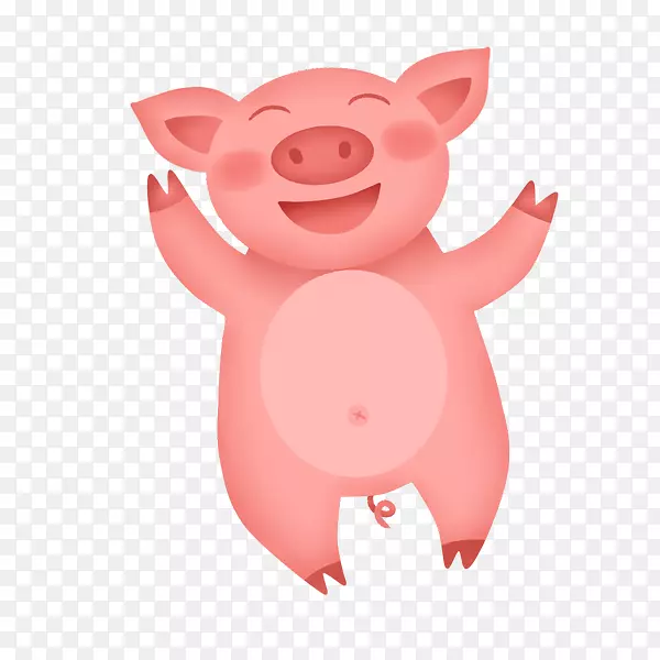 手绘插画开心的小猪