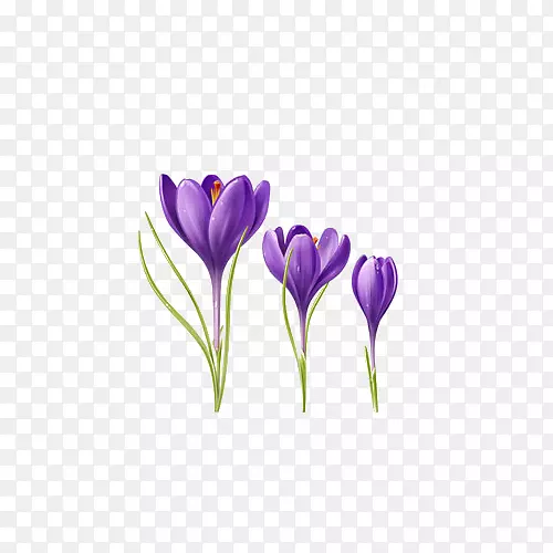 手绘时尚插画三朵紫色丁香花免抠
