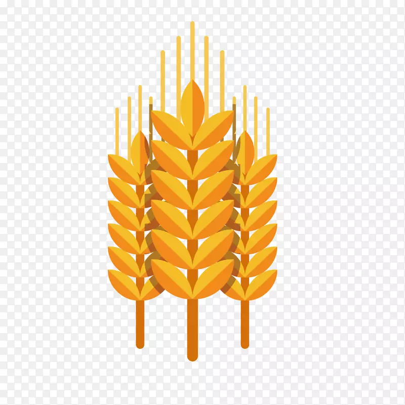 金色麦穗丰收季节