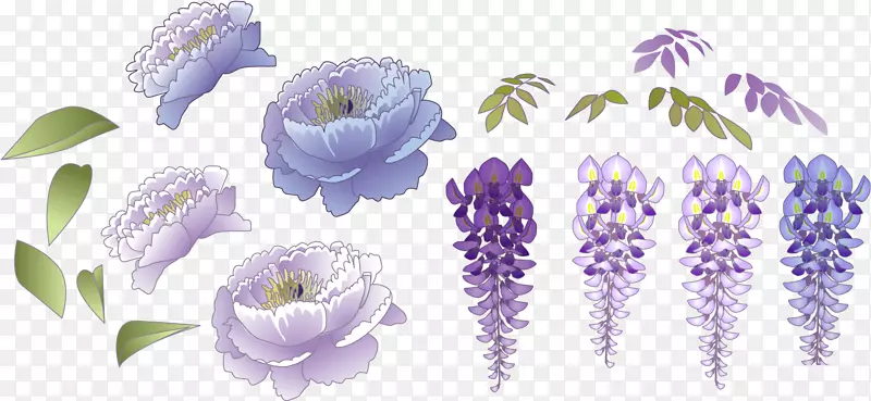 紫藤花与牡丹图片素材