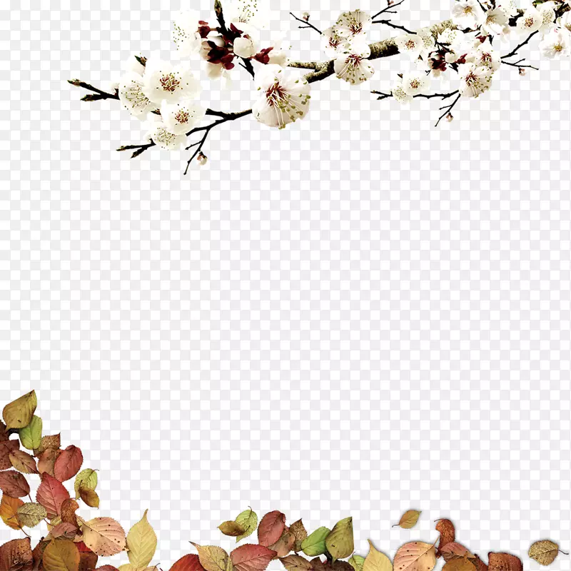 梅花素材
