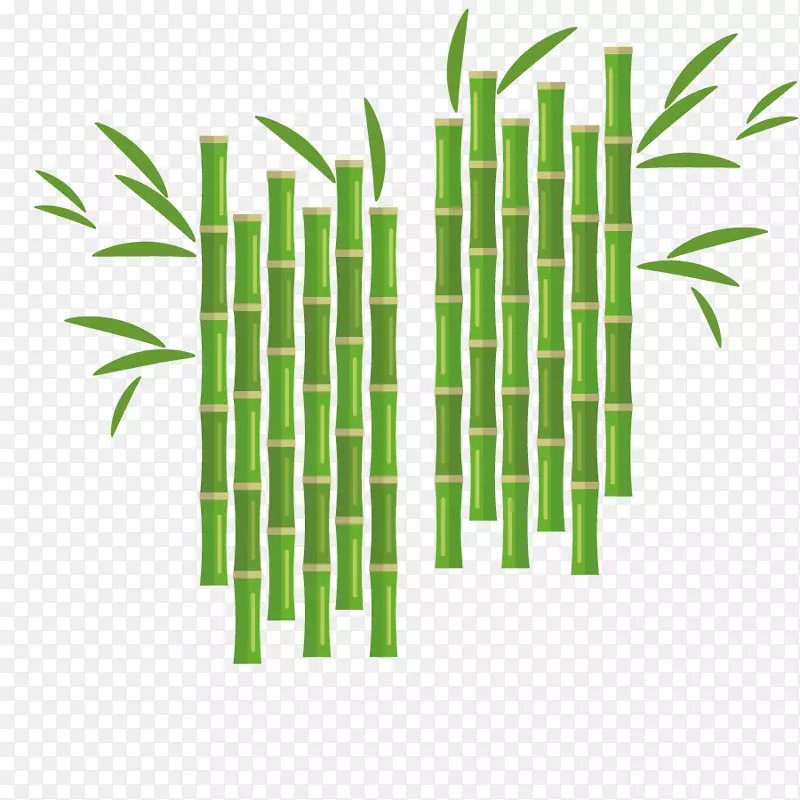 矢量植物竹子