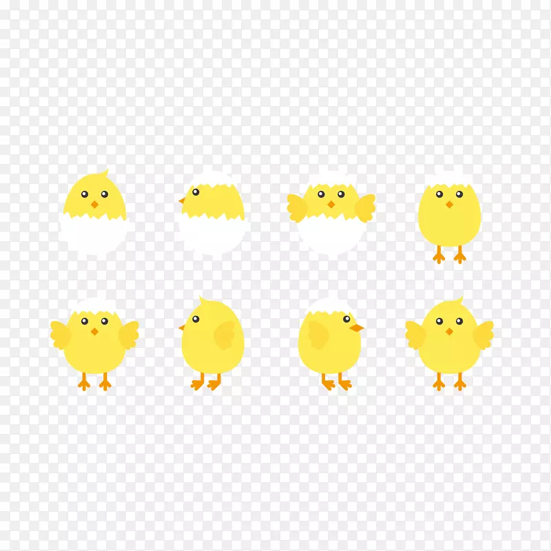 矢量手绘小鸡