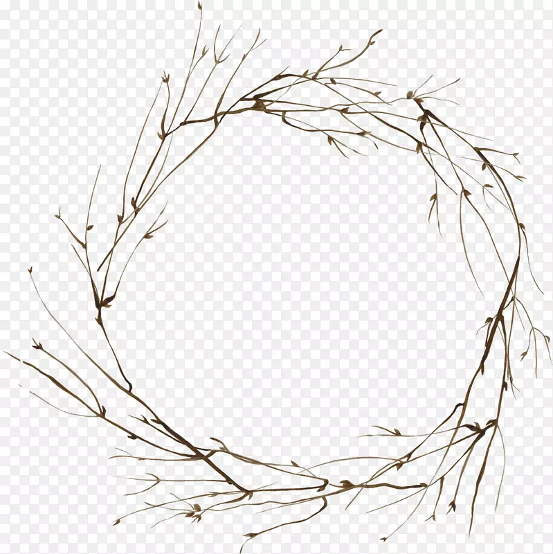 树枝圆环