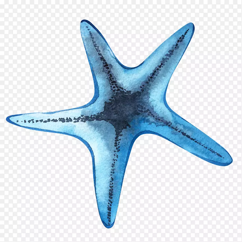 海星水族馆海底动植物
