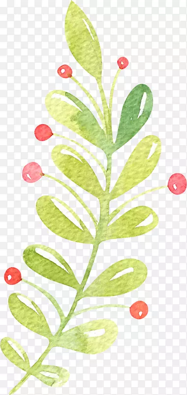 手绘水彩植物png