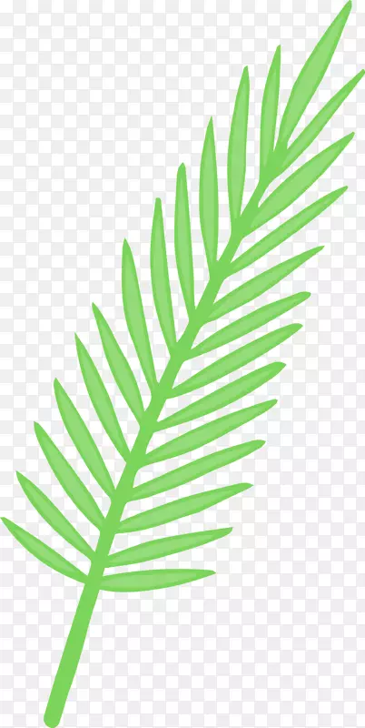 创意绿色植物棕榈叶图