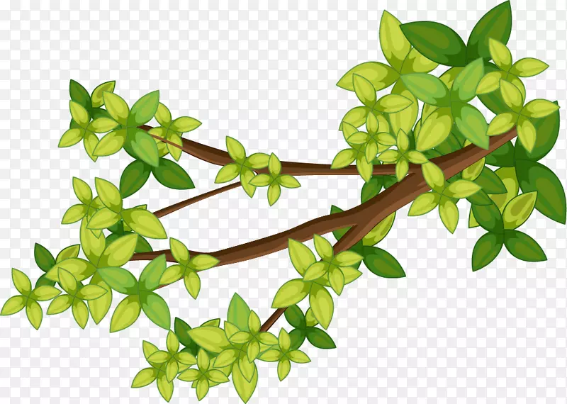 绿色树枝装饰图案