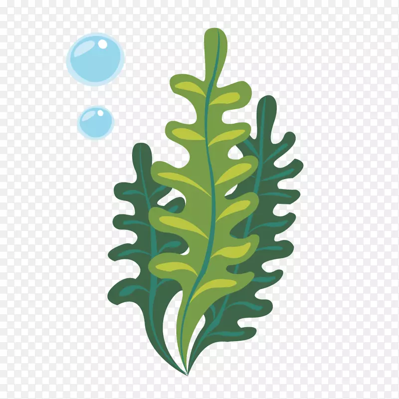 绿色海草泡泡植物