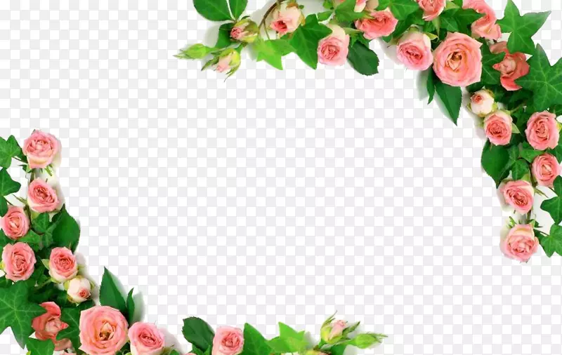 粉色玫瑰花边框