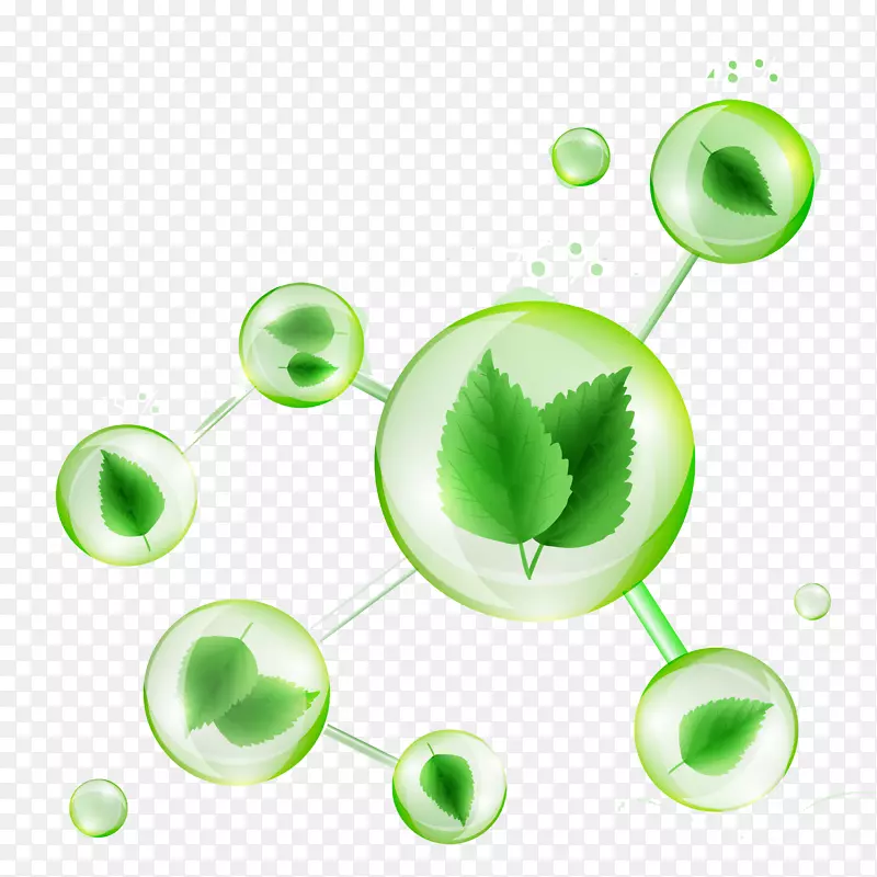 生态绿色分子